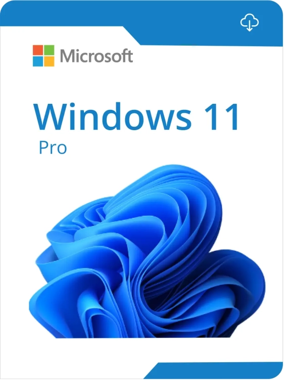 Windows 11 Pro.webp