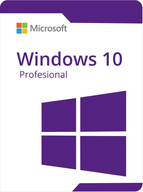 Windows 10 Professional.webp